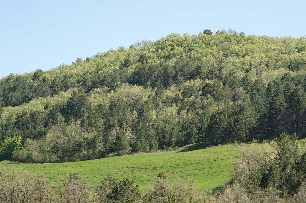 Domaine De Luzenac Bed & Breakfast Val-du-Faby ภายนอก รูปภาพ