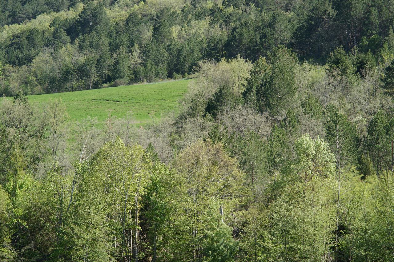 Domaine De Luzenac Bed & Breakfast Val-du-Faby ภายนอก รูปภาพ