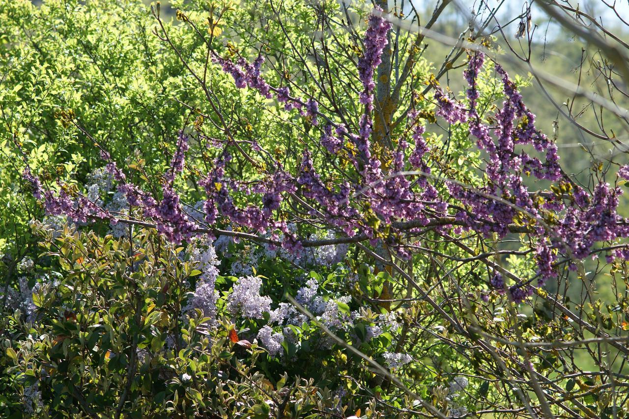 Domaine De Luzenac Bed & Breakfast Val-du-Faby ภายนอก รูปภาพ